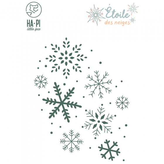 Die Fond flocons - HA PI Little Fox 