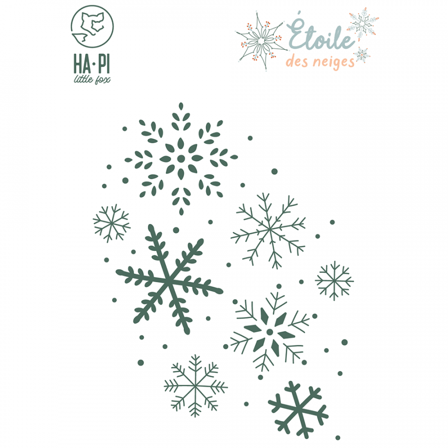 Die Fond flocons - HA PI Little Fox 