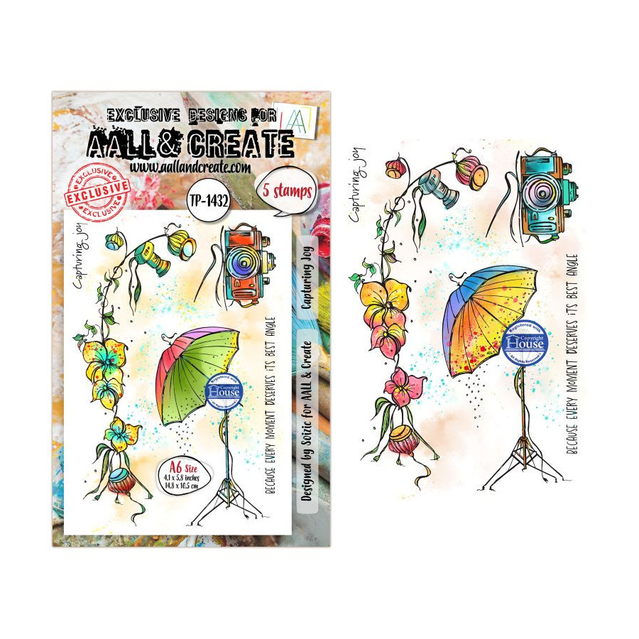 Tampon Clear - 1432 - Capturing Joy - AALL and Create 