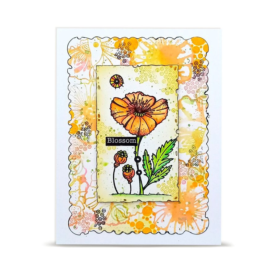 Tampon Clear - 1479 - Lovely Coquelicots - AALL and Create 