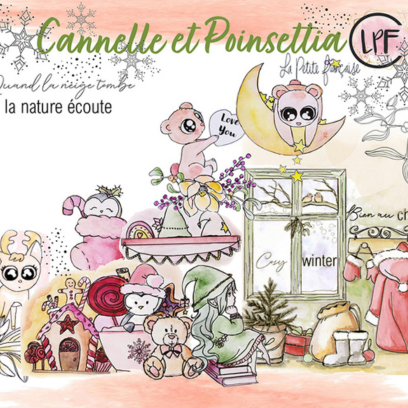 Cannelle et Poinsettia